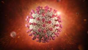 Rendering of the structure of the Coronavirus